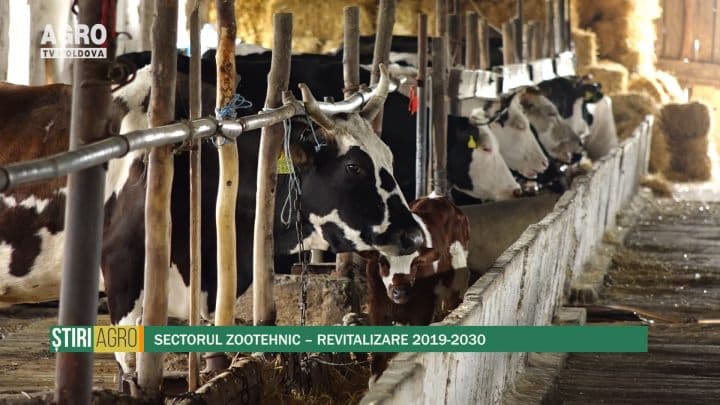 Sectorul Zootehnic – revitalizare 2019-2030