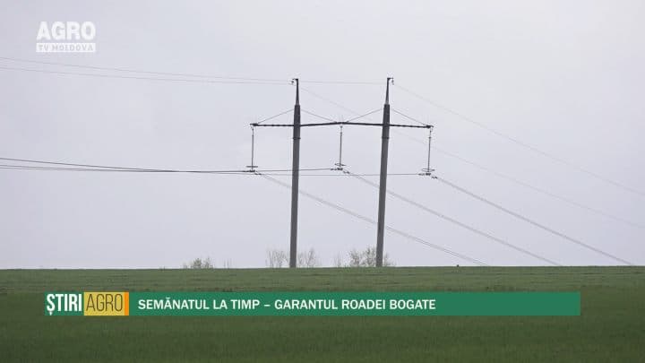 Semănatul la timp – garantul roadei bogate