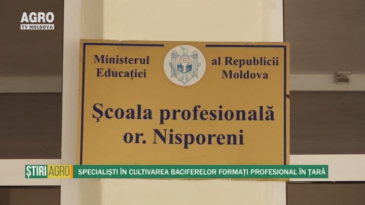 Specialiști în cultivarea baciferelor formați profesional în țară