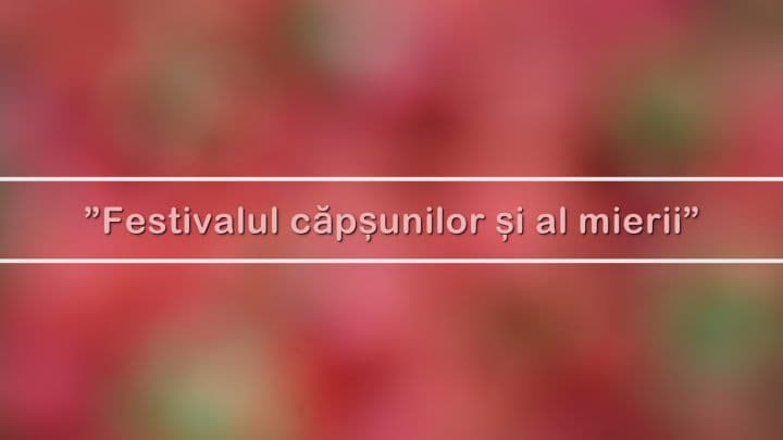 Festivalul căpșunilor și al mierii