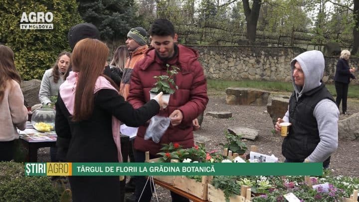 Târgul de Florii la Grădina Botanică