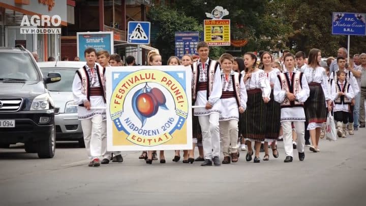 Festivalul Prunei