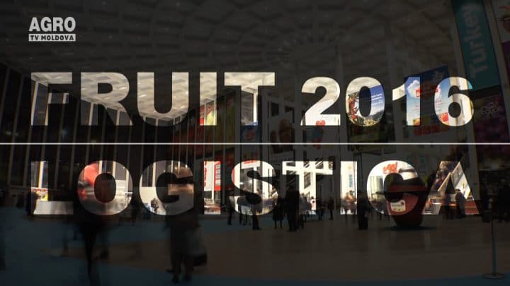 Fruit Logistica 2016