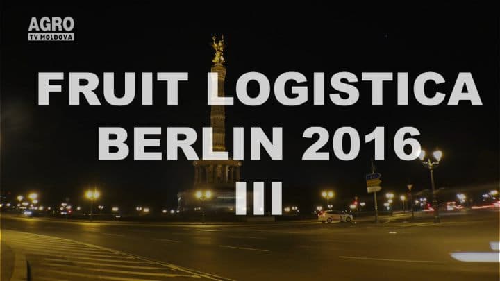 Fruit Logistica 2016 (III)