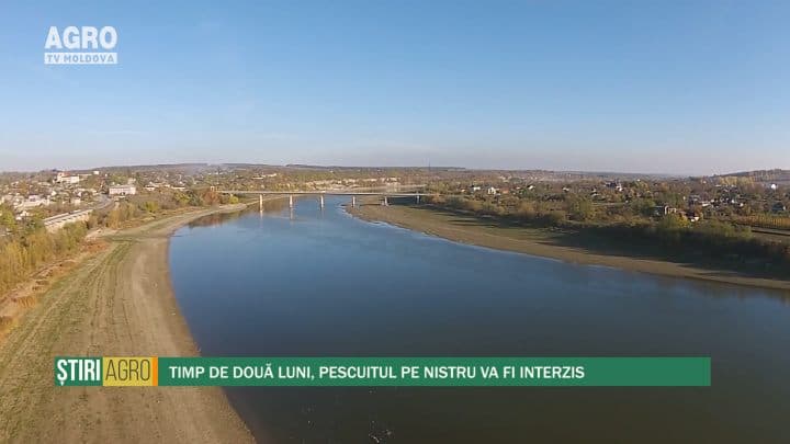 Timp de două luni, pescuitul pe Nistru va fi interzis
