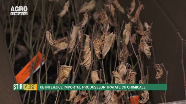 UE interzice importul produselor tratate cu chimicale