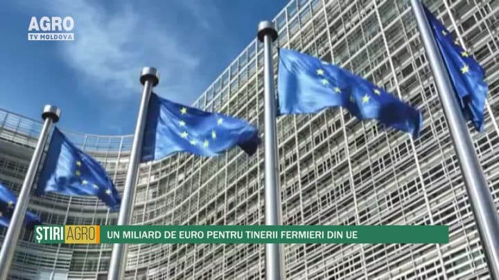 Terenurile lăsate în paragină vor fi curățate