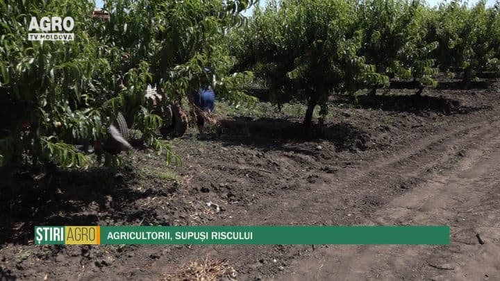 Agricultorii, supuși riscului