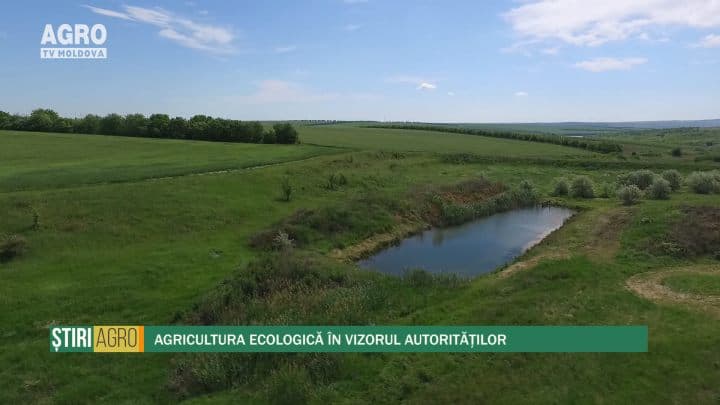 Agricultura ecologică în vizorul autorităților