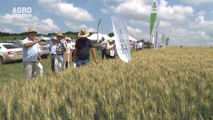AGROSTOC – împreună suntem mai puternici!