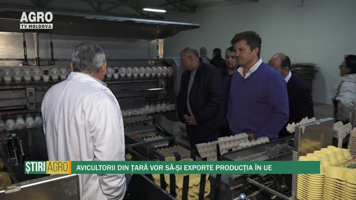 Avicultorii din țară vor să-și exporte producția în UE