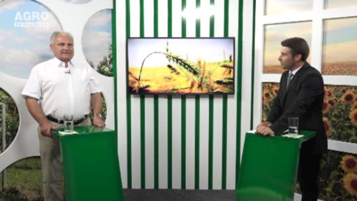 Tehnologia de cultivare a cepei. INVITAT: Vasile Botnari, directorul IGFPP