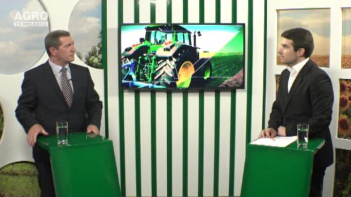 Pesta porcină africană a ajuns la granița cu R. Moldova. INVITAT: Vsevolod Stamati, director general adjunct al ANSA