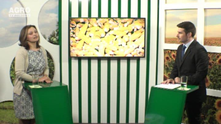 Cultivarea florilor – o afacere riscantă, dar care poate aduce profit. INVITATĂ: Irina Sfeclă, cercetător științific în Laboratorul Floricultură al Grădinii Botanice