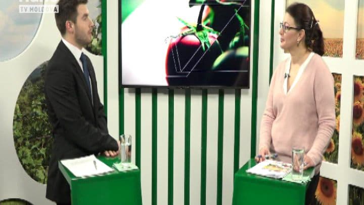 Importul de carne și lapte din Ucraina pune în pericol producătorii autohtoni.