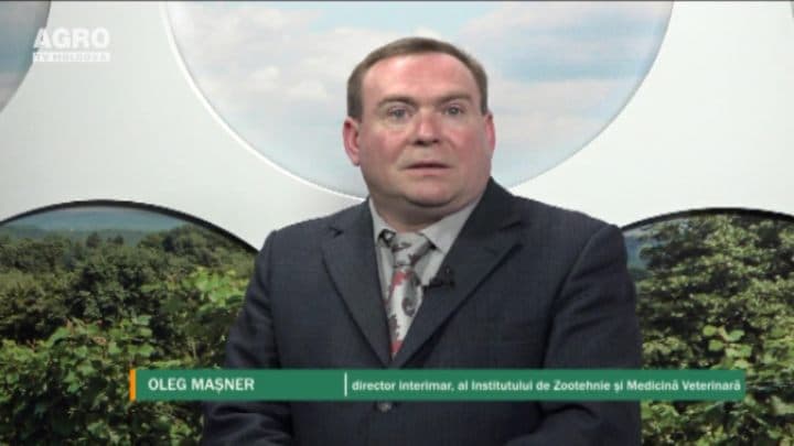 Sectorul zootehnic, în căutarea soluțiilor pentru revitalizare. INVITAT: Oleg Mașner, director interimar al Institutului Ştiinţifico-Practic de Biotehnologii în Zootehnie şi Medicină Veterinară