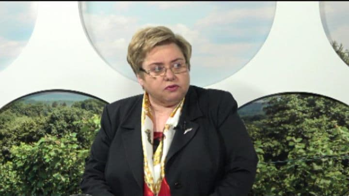De ce nu ia amploare dezvoltarea Întreprinderilor Mici și Mijlocii. INVITATĂ: Valentina Veveriță, doctor în economie, conferențiar universitar