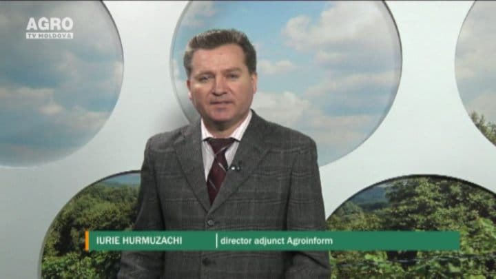 Situația meteorologică dramatică și cum poate afecta aceasta recoltele din acest an. INVITAT: Iurie Hurmuzachi, director adjunct al Federației Naționale a Agricultorilor din Moldova ”Agroinform”
