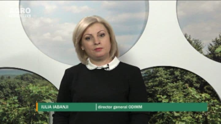 Suportul statului pentru inițierea afacerilor de către tineri și de către femei. INVITATĂ: Iulia Iabanji, Director General al Organizației pentru dezvoltarea întreprinderilor mici și mijlocii (ODIMM) din Republica Moldova