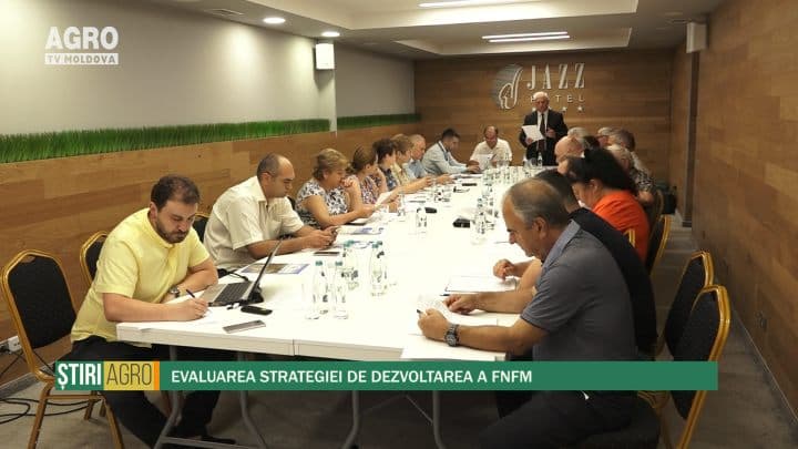 Evaluarea strategiei de dezvoltarea a FNFM