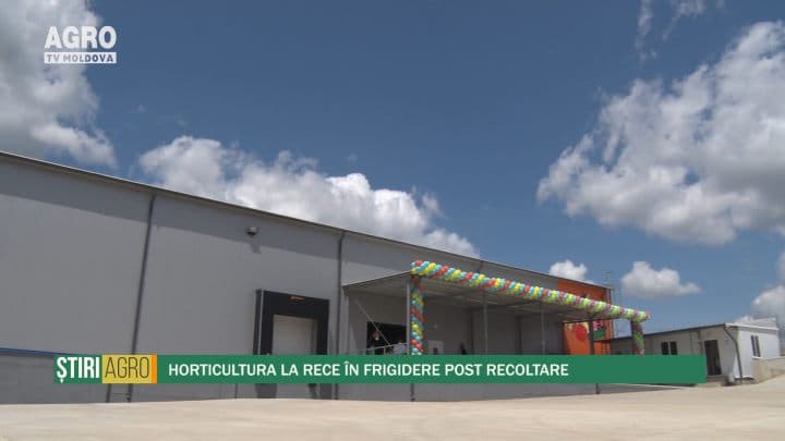 Horticultura la rece în frigidere post-recoltare