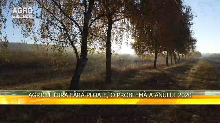 Agricultura fără ploaie, o problemă a anului 2020