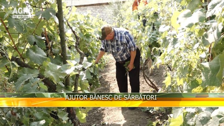 Ajutor bănesc de sărbători