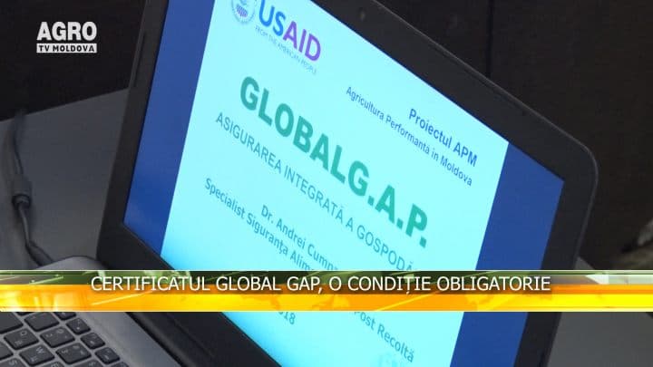 Certificatul GLOBAL GAP, o condiție obligatorie