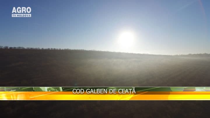 Cod Galben de ceață