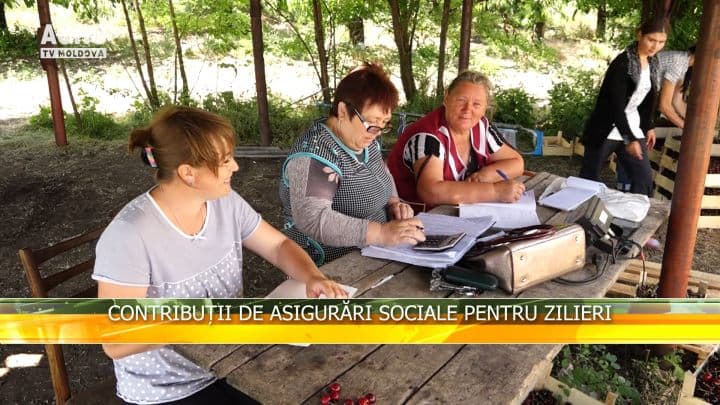 Contribuții de asigurări sociale pentru zilieri