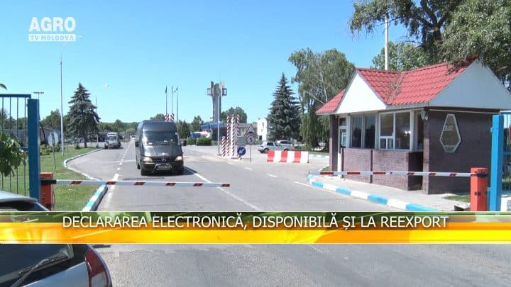 Declararea electronică, disponibilă și la reexport