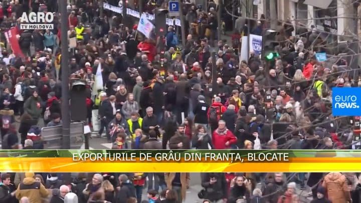 Exporturile de grâu din Franța, blocate
