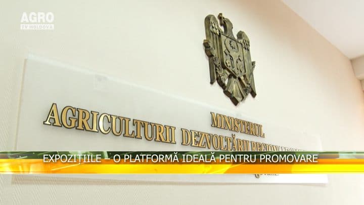Expozițiile – o platformă ideală pentru promovare