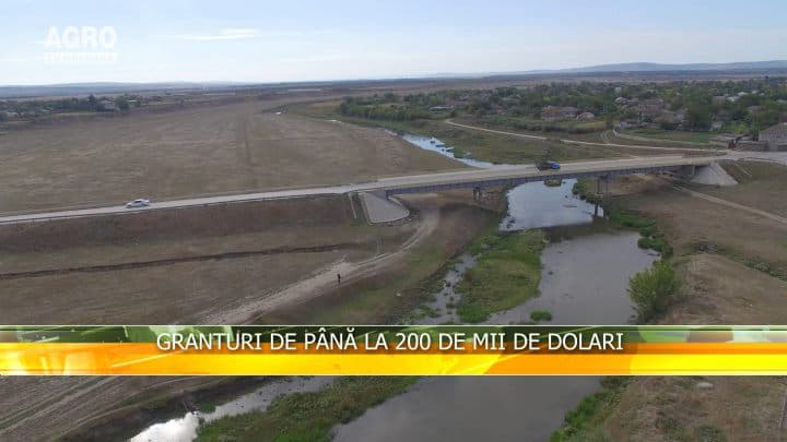 Granturi de până la 200 de mii de dolari