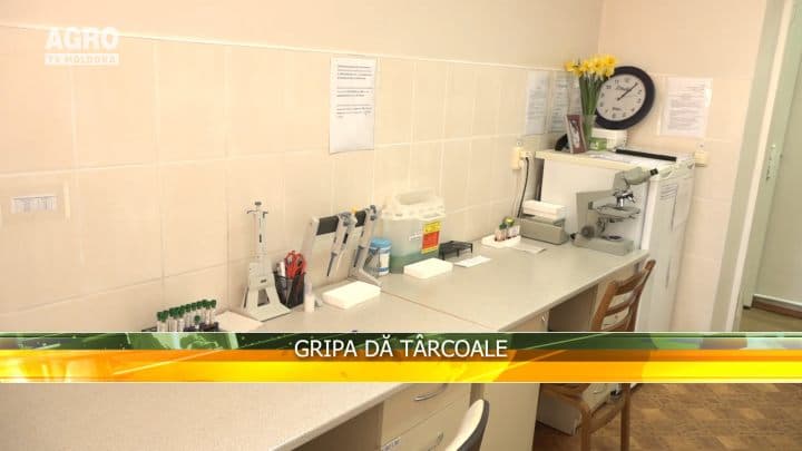 Gripa dă târcoale