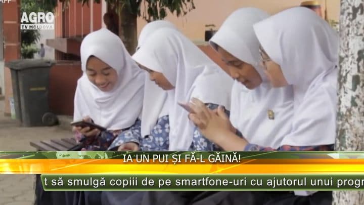 Ia un pui și fă-l găină!