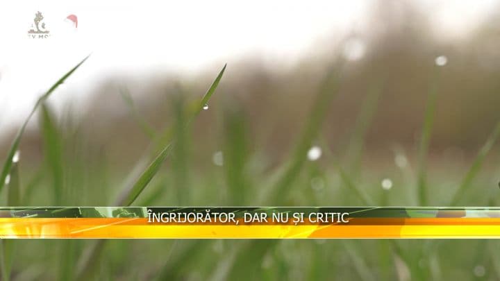 Îngrijorător, dar nu și critic