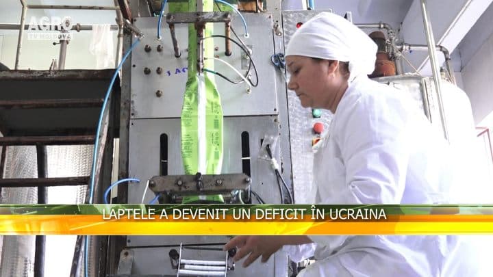 Laptele a devenit un deficit în Ucraina