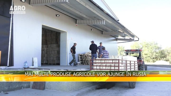 Mai multe produse agricole vor ajunge în Rusia