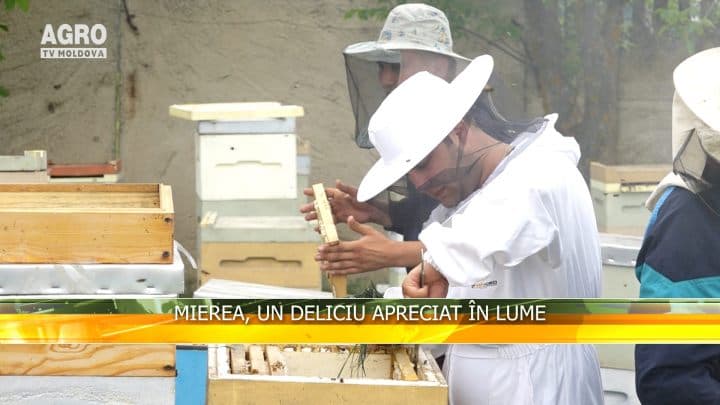 Mierea, un deliciu apreciat în lume