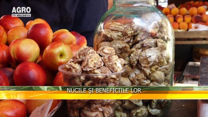 Nucile şi beneficiile lor