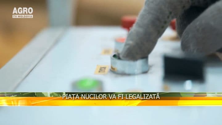 Piața nucilor va fi legalizată