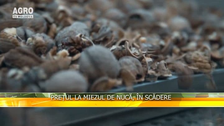 Prețul la miezul de nucă, în scădere