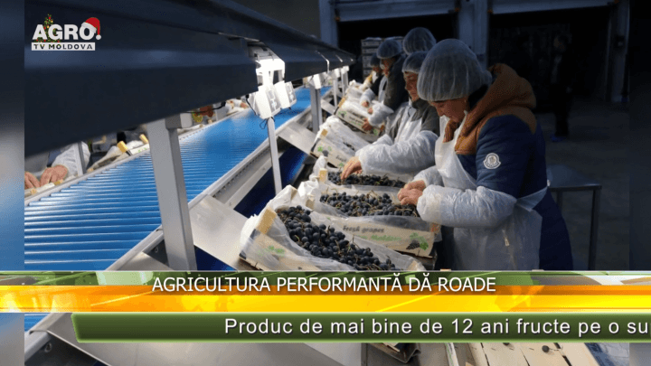 Agricultura performantă dă roade