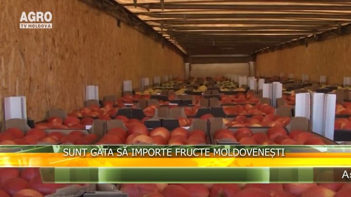 Sunt gata să importe fructe moldovenești