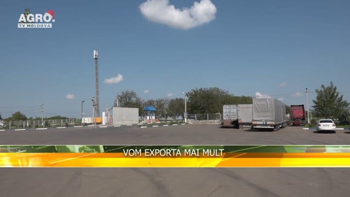 Vom exporta mai mult