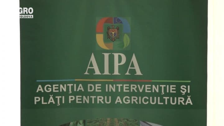 AIPA a lansat aplicația „Depune dosarul on-line”