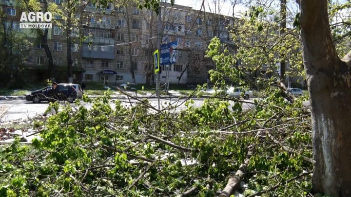 Amenințați de inundații, secete și incendii