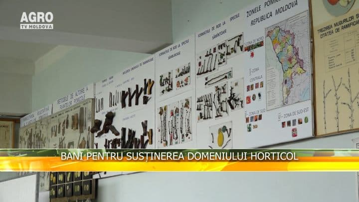 Bani pentru susținerea domeniului horticol