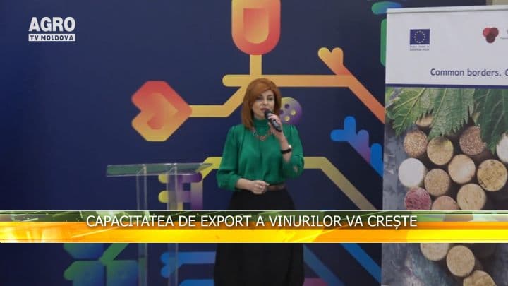 Capacitatea de export a vinurilor va crește